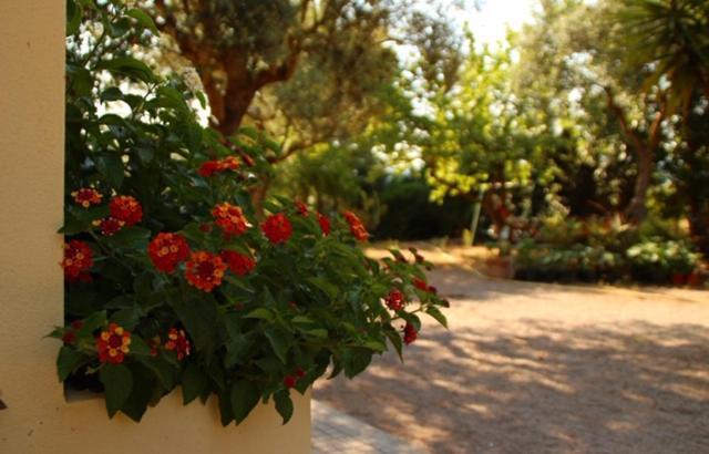 Rio Barca Bed And Breakfast Алгеро Екстериор снимка